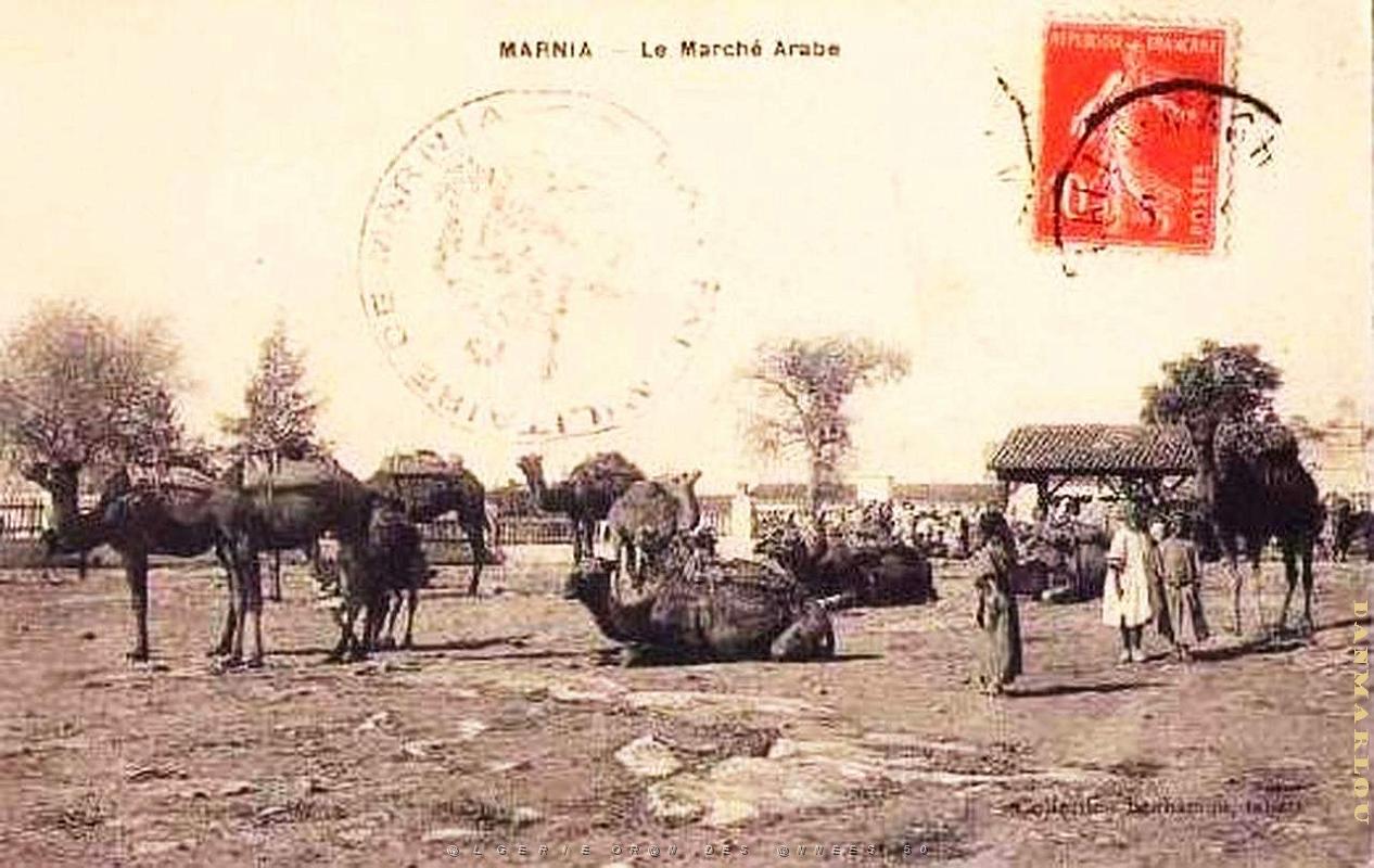 Marnia 252.jpg